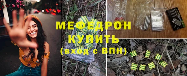 МДПВ Бородино