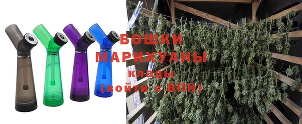 МДПВ Бородино