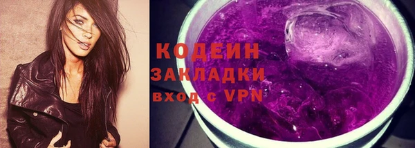 крисы Богородицк