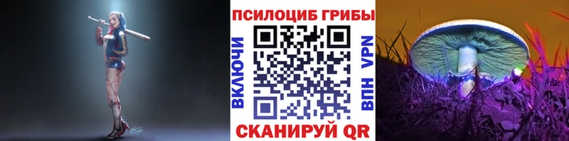 Галлюциногенные грибы прущие грибы  Купить закладки  Светлогорск 