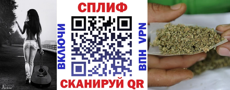 Бошки марихуана тримм  Купить закладки  Светлогорск 